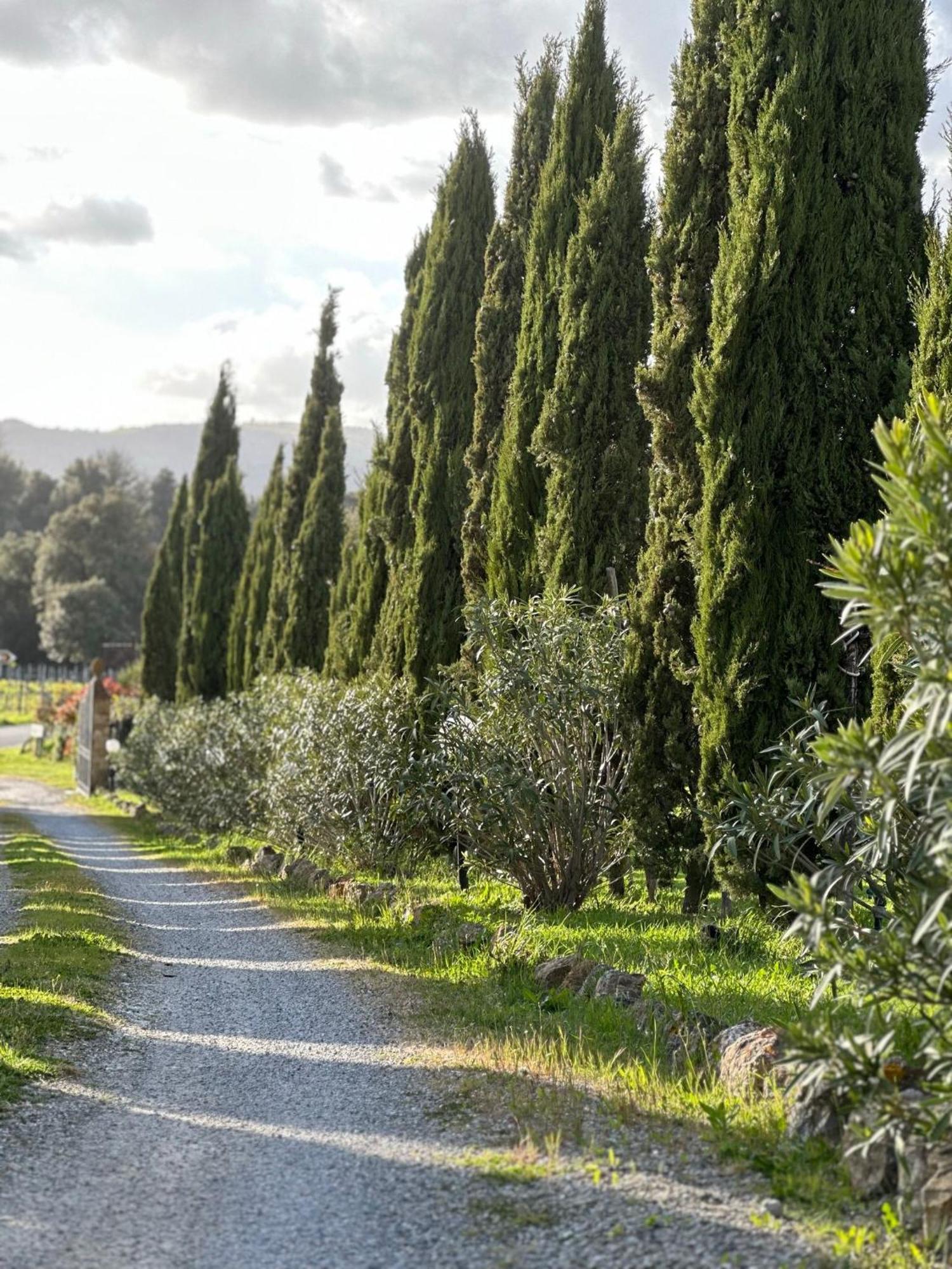 Antico Borgo Il Cardino Bed and Breakfast San Gimignano Eksteriør billede